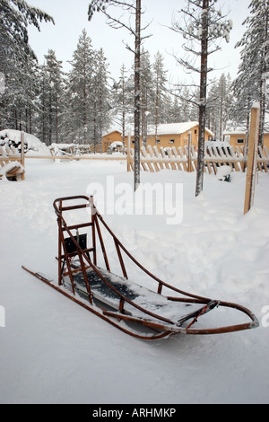 Dog Sled Lapland Northern Finland Stock Photo