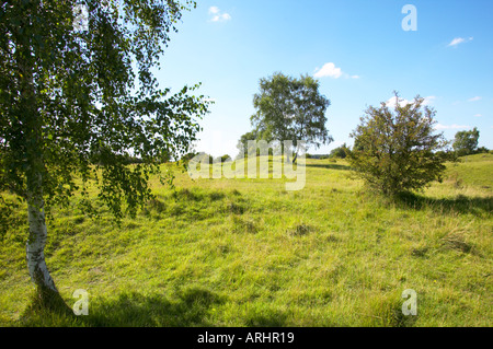 Barnack Hills and Holes national nature reserve Cambridgeshire Stock Photo