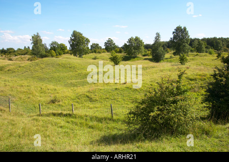 Barnack Hills and Holes national nature reserve Cambridgeshire Stock Photo