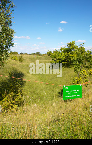 Barnack Hills and Holes national nature reserve Cambridgeshire erosion control measures Stock Photo