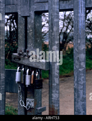 Five padlocks securing a gate. Stock Photo