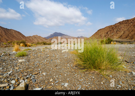 Dry wadi, Oman Stock Photo