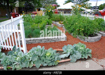 Home Vegetable Garden On Display At The Michigan State Fair Held