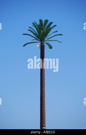 'Palm tree' mobile mast, Dahab, Sinai Peninsula, Republic of Egypt Stock Photo