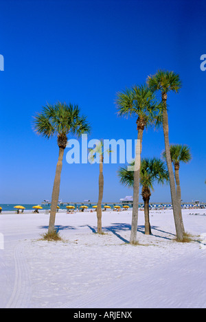 Palms and beach, Clearwater Beach, Florida, USA Stock Photo