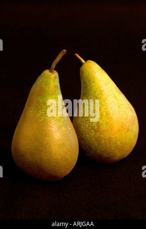 Still Life of Two Conference Pears Stock Photo