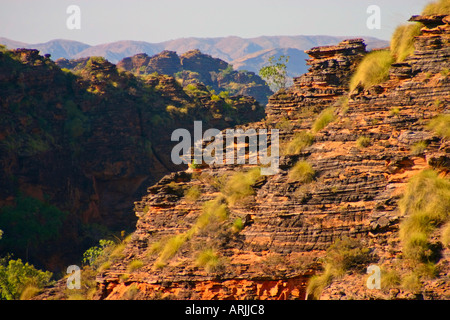 Rugged sedimentary formations and flowers of Hidden Valley in Mirima National Park near Kununurra Western Australia Stock Photo