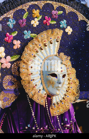 Person wearing masked carnival costume, Venice Carnival, Venice, Veneto, Italy Stock Photo