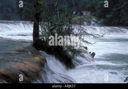 waterfalls Agua Azul near Palenque Chiapas Mexico Stock Photo