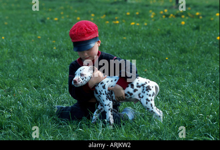 Dalmatian (Canis lupus f. familiaris), boy with puppy Stock Photo