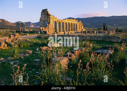 Roman archaeological site, Volubilis, Meknes Region, Morocco, North Africa, Africa Stock Photo