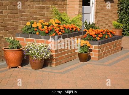 Summer flowers in a raised bed with pots on a patio Stock Photo