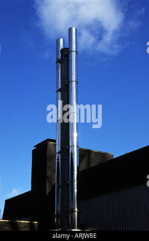 Stainless steel chimney from a gas-fired heating system in a school Leichlingen, North Rhine-Westphalia, Germany. Stock Photo