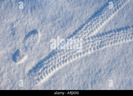 Human and car tracks side by side on snow at Winter , Finland Stock Photo