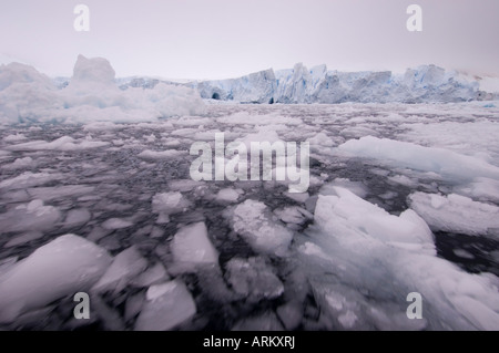 Paradise Bay, Antarctic Peninsula, Antarctica, Polar Regions Stock Photo