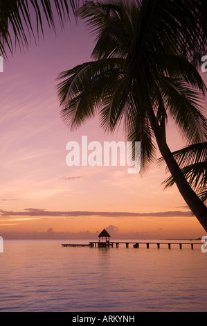 Rangiroa, Tuamotu Archipelago, French Polynesia, Pacific Islands, Pacific Stock Photo