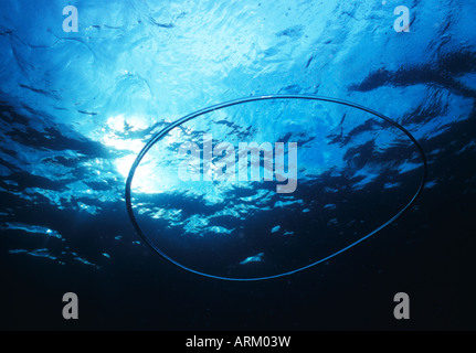Bubble Ring Underwater Ring Bubble Stock Photo - Download Image Now -  Abstract, Backgrounds, Beauty - iStock