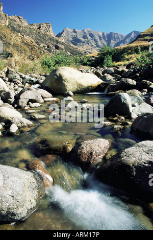Drakensberg Garden, KwaZulu Natal, South Africa Stock Photo - Alamy