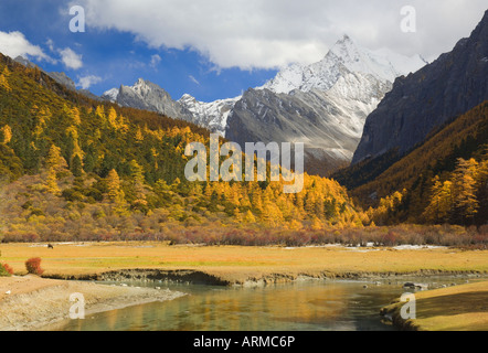 Xiaruoduojio mountain, Yading Nature Reserve, Sichuan Province, China, Asia Stock Photo