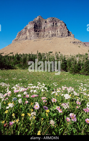 Logan Pass, Glacier National Park, Montana, United States of America, North America Stock Photo
