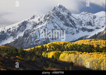 Sneffels Range with aspens in fall colors, near Ouray, Colorado, United States of America, North America Stock Photo