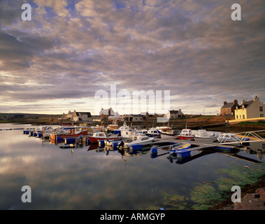 Walls, West Mainland, Shetland Islands, Scotland, United Kingdom, Europe Stock Photo