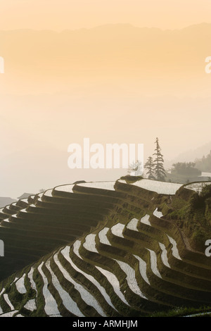 Longsheng terraced ricefields, Guangxi Province, China, Asia Stock Photo