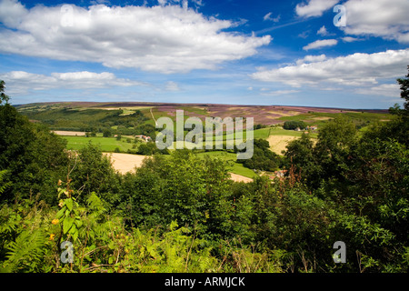 Surprise View Gillamoor North York Moors National Park Yorkshire Stock Photo