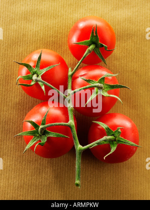 Fresh organic tomatoes on the vine Stock Photo