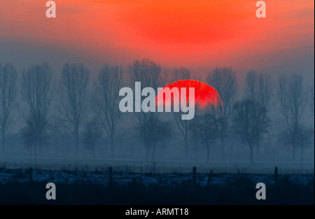 sunset over meadows in winter, Germany, Lower Saxony Stock Photo