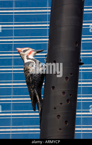 Fastwurms Woodpecker Column sculpture, Toronto, Ontario, Canada Stock Photo