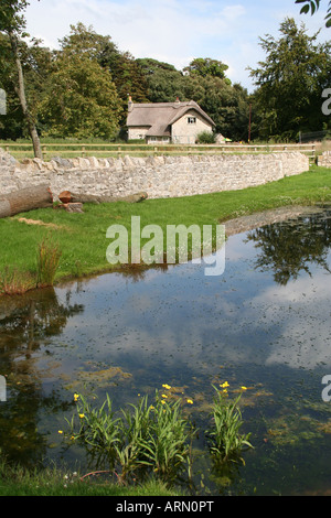 Thatched Cottage and Pond Merthyr Mawr Village Stock Photo