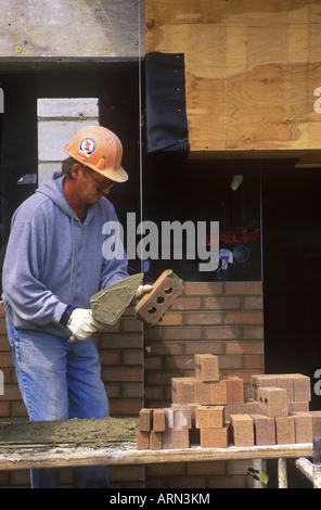 Construction worker. Bricklayer applies mortar while constructing brick wall, British Columbia, Canada. Stock Photo