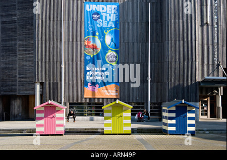 Brightly painted beach huts outside the National Maritime Museum, Falmouth, Cornwall, UK. The museum, designed by M.J. Long, opened in 2003 Stock Photo