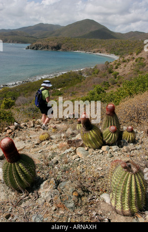 Woman hiker hi-res stock photography and images - Alamy