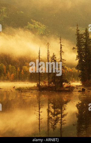 Nisga'a Lava Bed Memorial Provincial Park, Lava Lake in autumn mist, Nass River Valley, British Columbia, Canada. Stock Photo