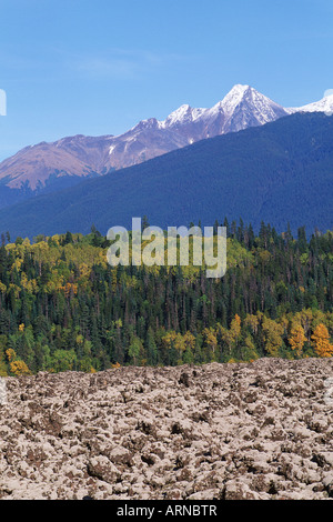 Nass River Valley, Nisga'a Lava Bed Memorial Provincial Park, British Columbia, Canada. Stock Photo