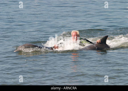 Dolphin swim at Dolphin Research Center Florida USA Stock Photo