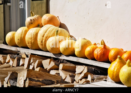 Pumpkins on stacked fire wood Stock Photo