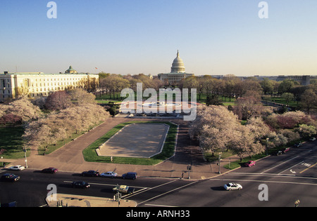 USA The US Capitol Building in Washington DC Panorama Spring Cherry Blossoms Stock Photo