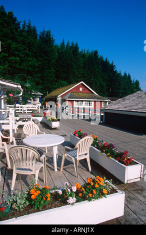 Telegraph Cove - boardwalk village on north island, Vancouver Island, British Columbia, Canada. Stock Photo