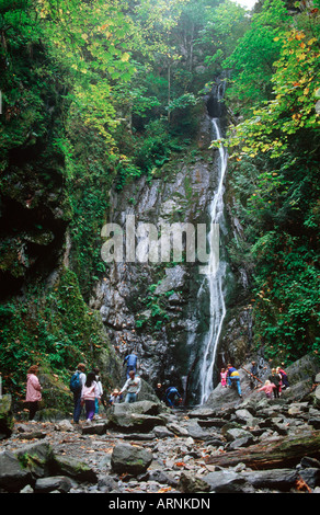 Goldstream Park, Little Niagara Falls, Victoria, Vancouver Island, British Columbia, Canada. Stock Photo