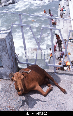 Bridge at Chamunda Devi Temple Dharamsala Area Himachal Pradesh India Stock Photo