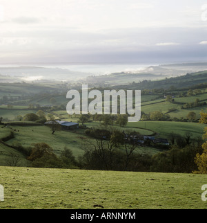 Misty valley farmland in early spring morning in East Devon Stock Photo