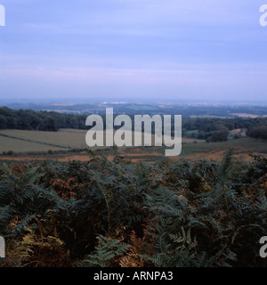 Bradgate Park Stock Photo