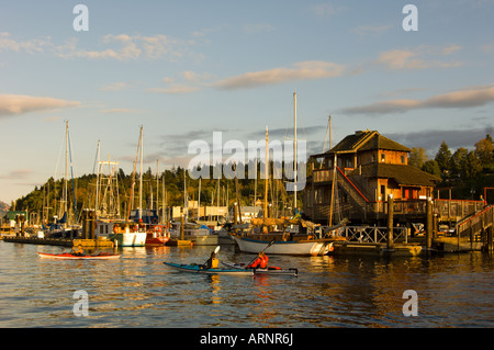 kayakers paddle in front of village, Cowichan Bay, Vancouver Island, British Columbia, Canada. Stock Photo