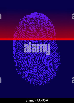 A digital security scan of a fingerprint to confirm identity Stock Photo