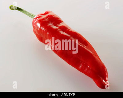 Red Sweet pointed peppers Stock Photo