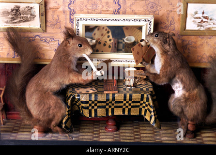 Squirrels stuffed hi-res stock photography and images - Alamy