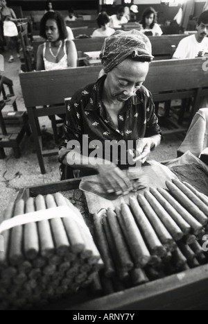 Cuba, Havana, Pantages Cigar factory B&W, cigars and soft focus female worker Stock Photo